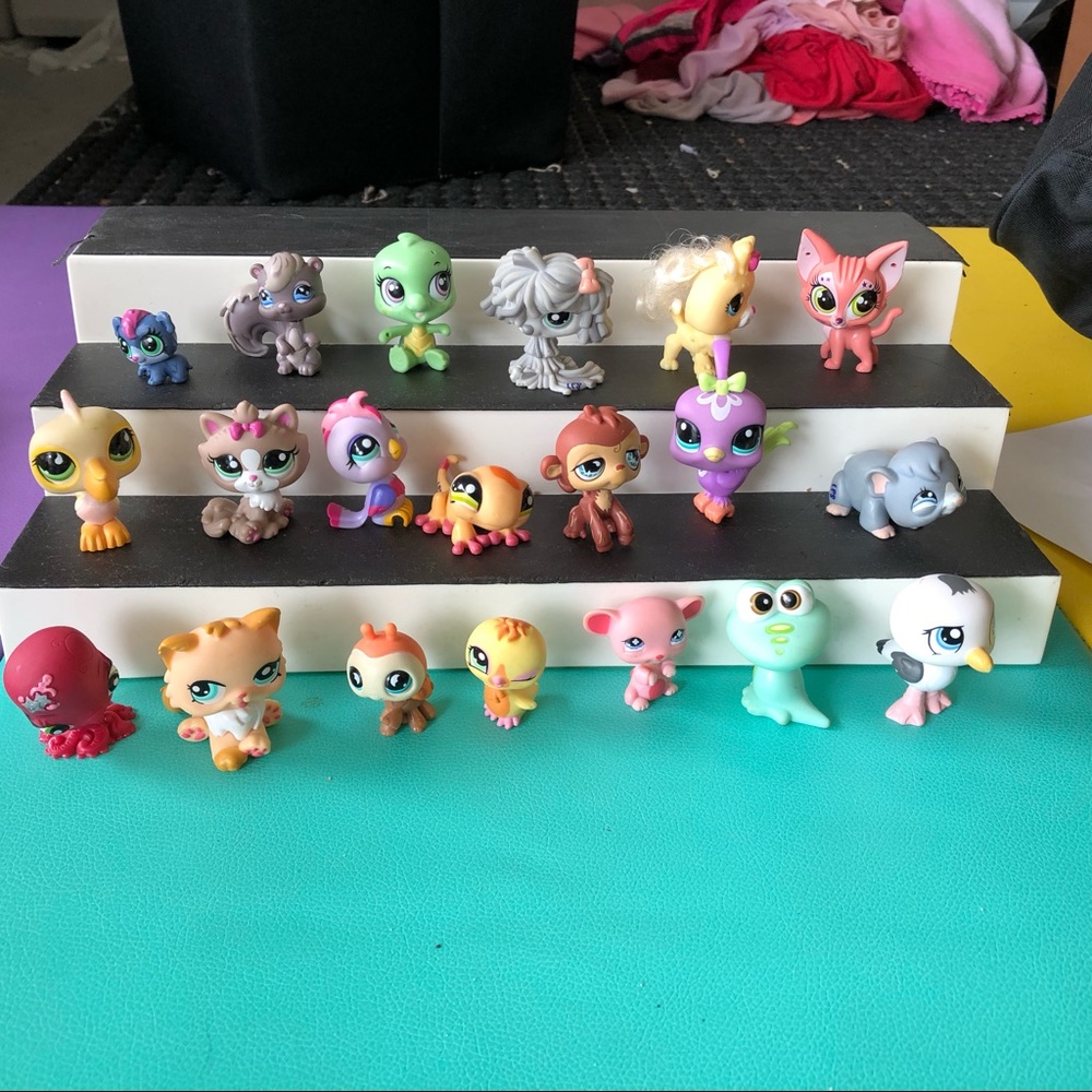 LPS Dog LPS cat LPS Turtle LPS Monkey LPS bird
